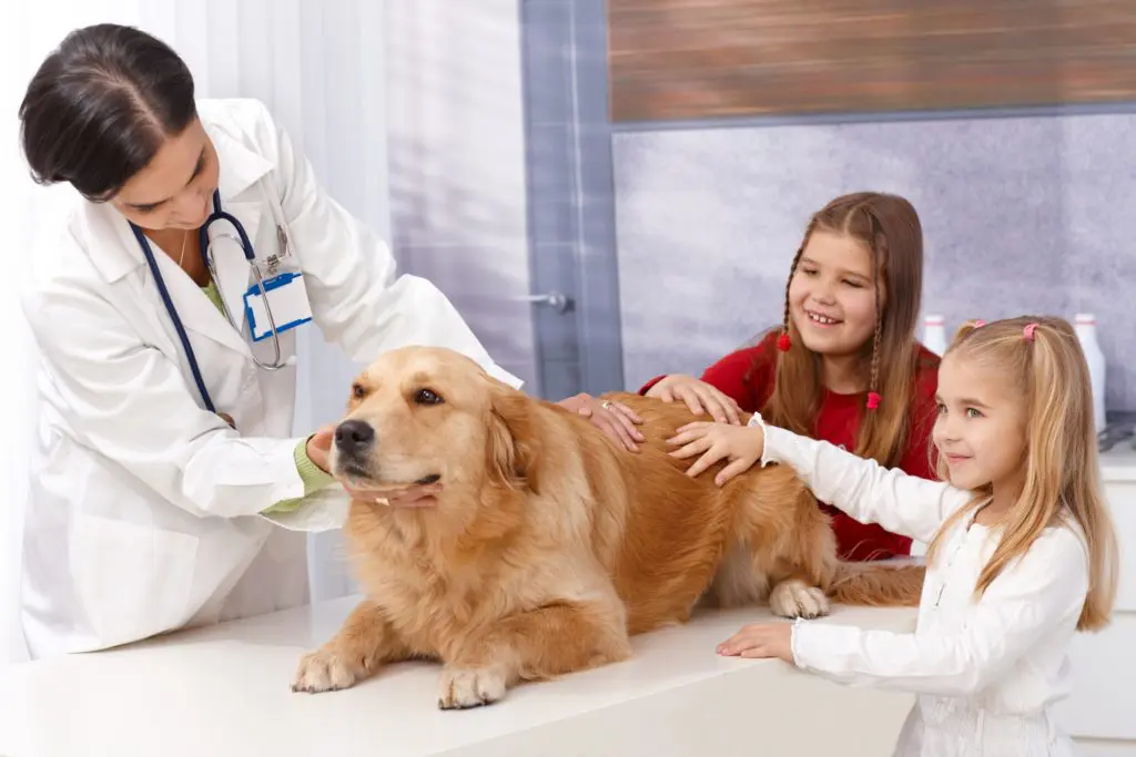 Laser Therapy