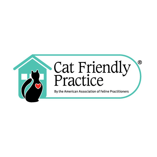 Cat Friendly Practice